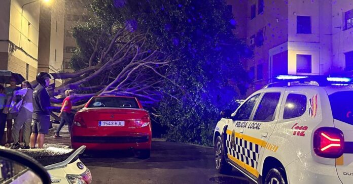 Fuerte temporal de viento en Ceuta