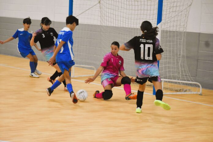 Futbol sala