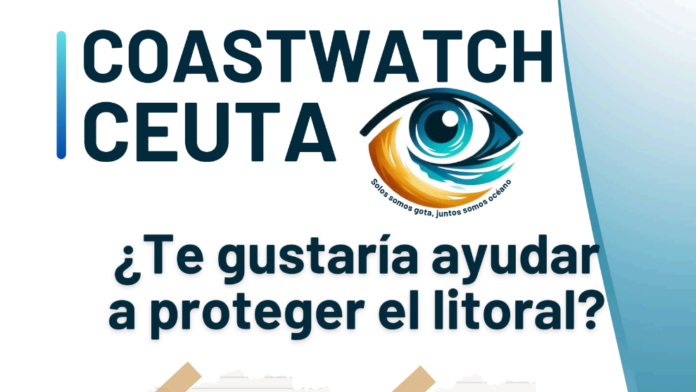 Captura de pantalla 2024-11-08 103908