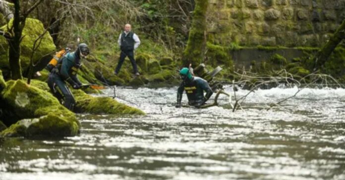 Cabecera articulo WORDPRESS MEDIOS (6)