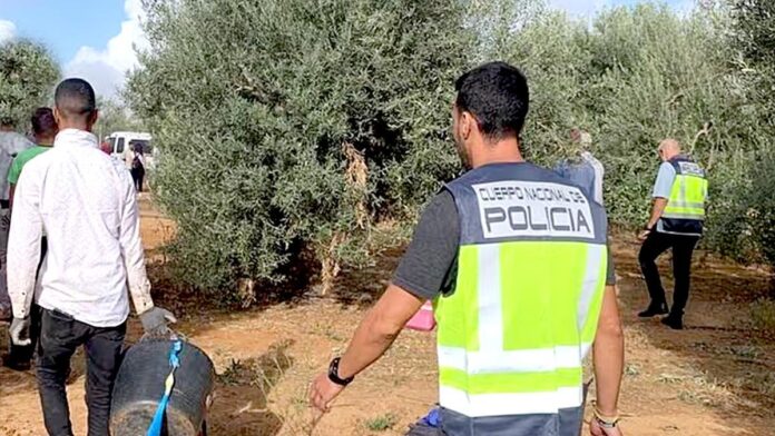 832be527-6840-40ac-bd57-d30f6ed21ed5_16-9-discover-aspect-ratio_default_0