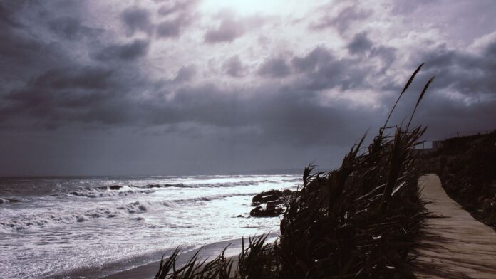 Mi imagen